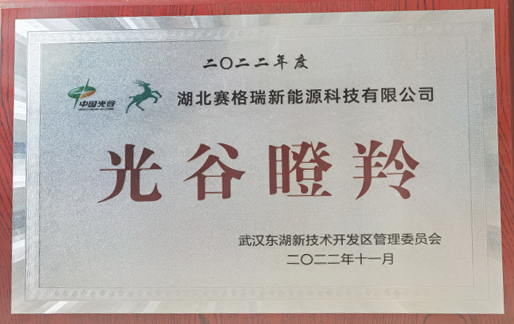 喜訊| 賽格瑞成功入選“光谷瞪羚”企業